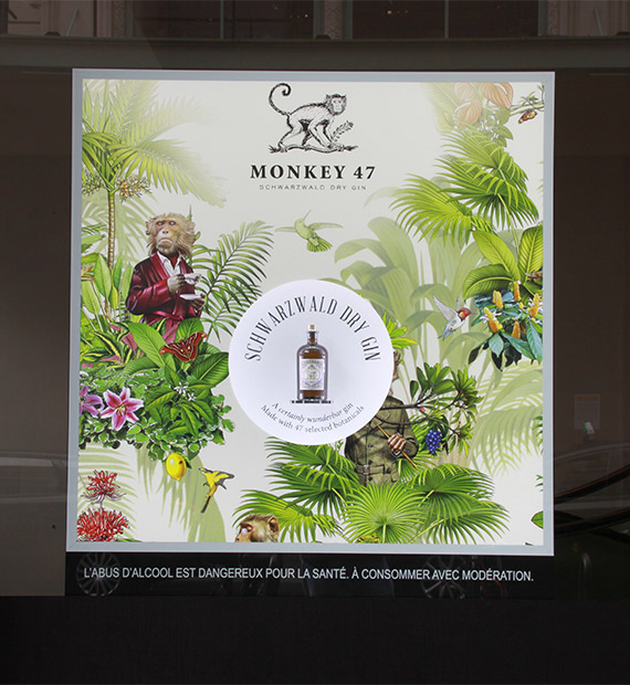 Projet Vitrine Monkey 47 Grande Epicerie - Groupe ELBA